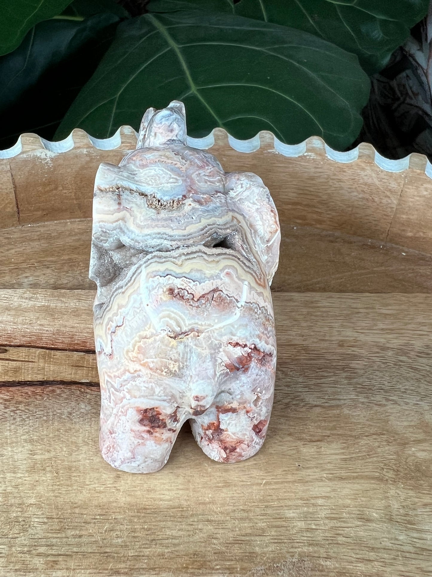 Crazy Lace Agate Elephant