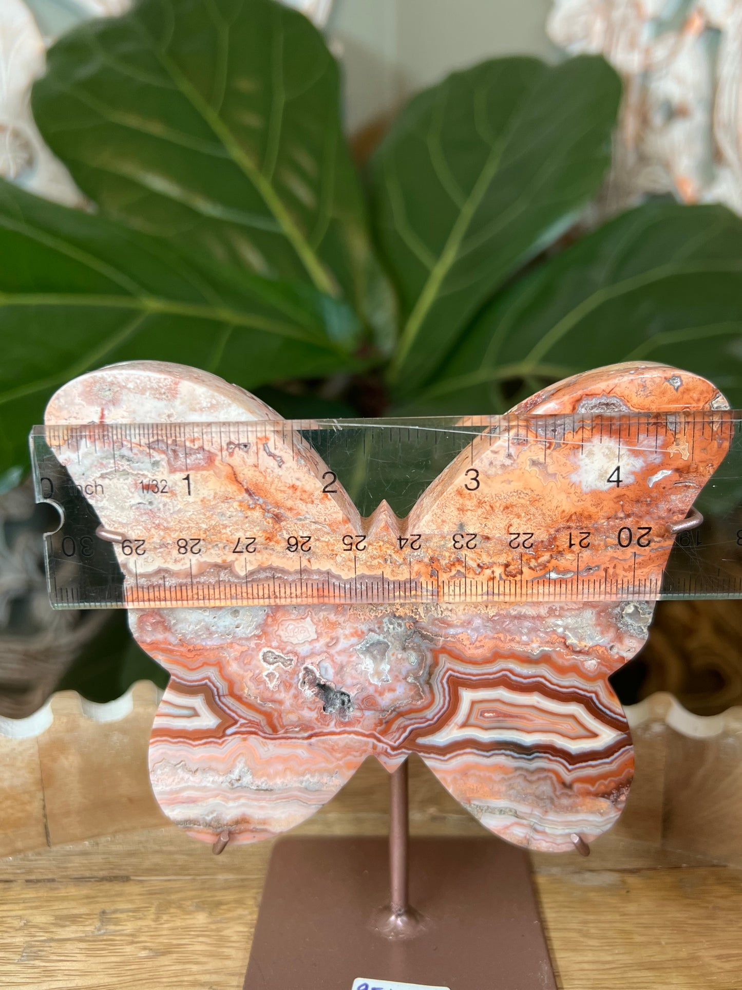 Crazy Lace Agate Butterfly