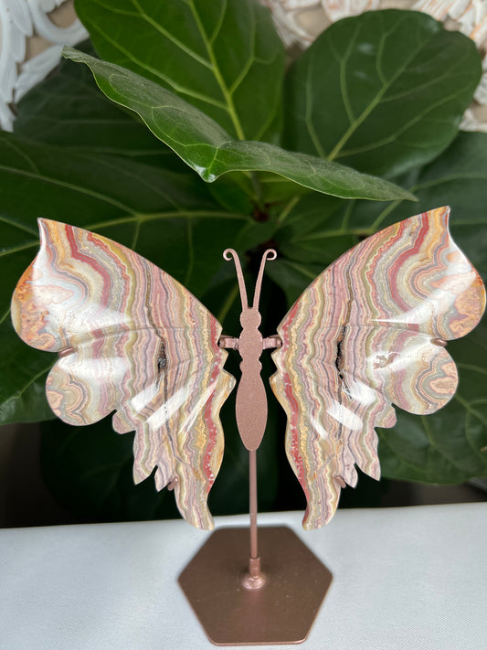 Crazy Lace Agate Wings