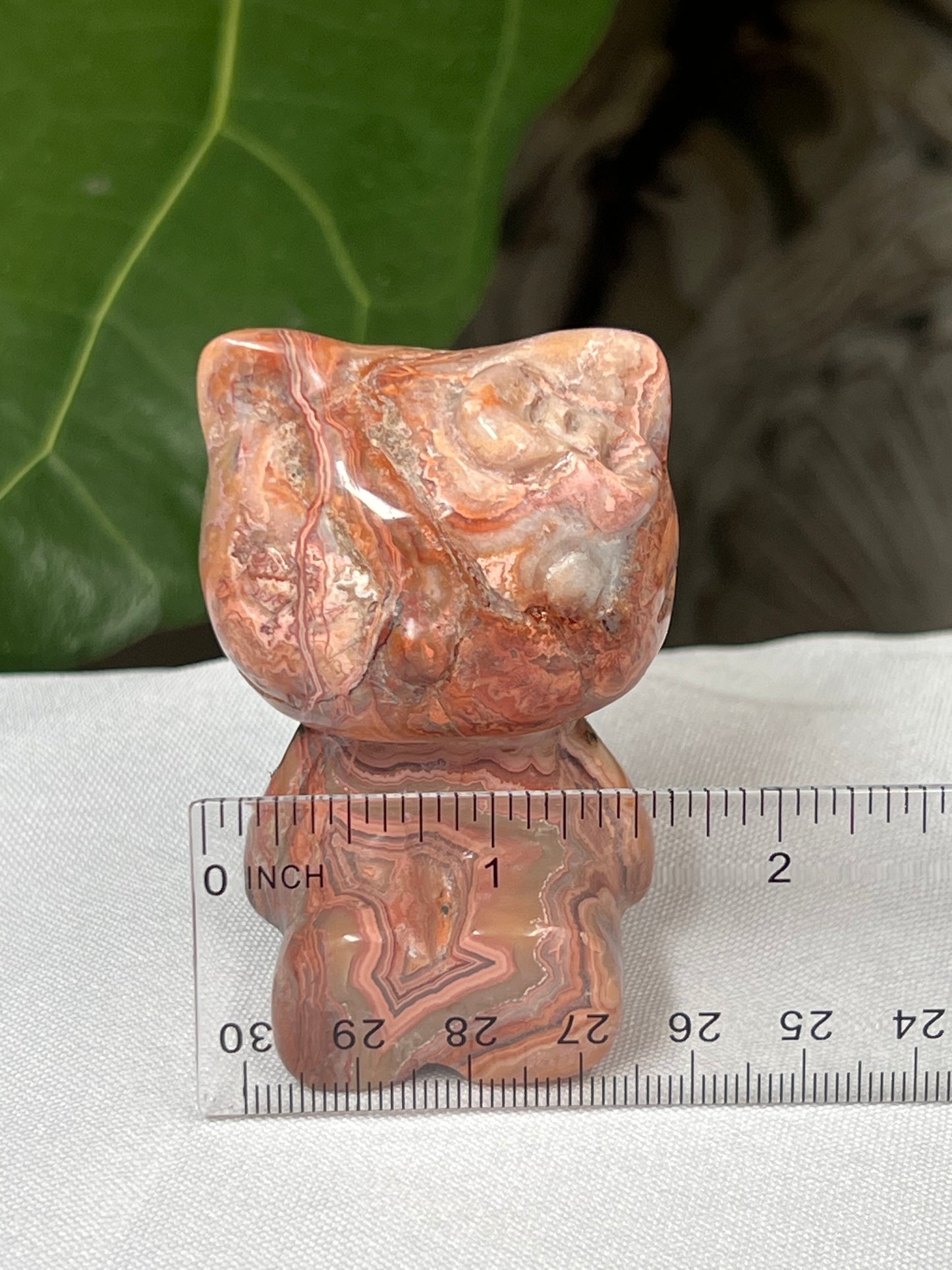 Crazy Lace Agate Cat