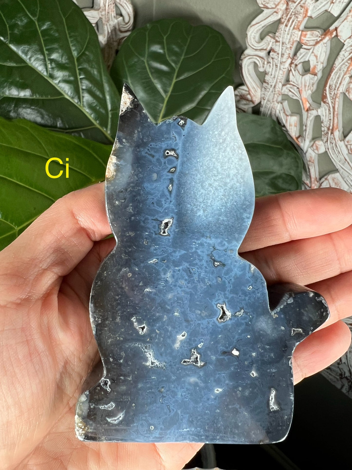 Blue Plume Agate Cat