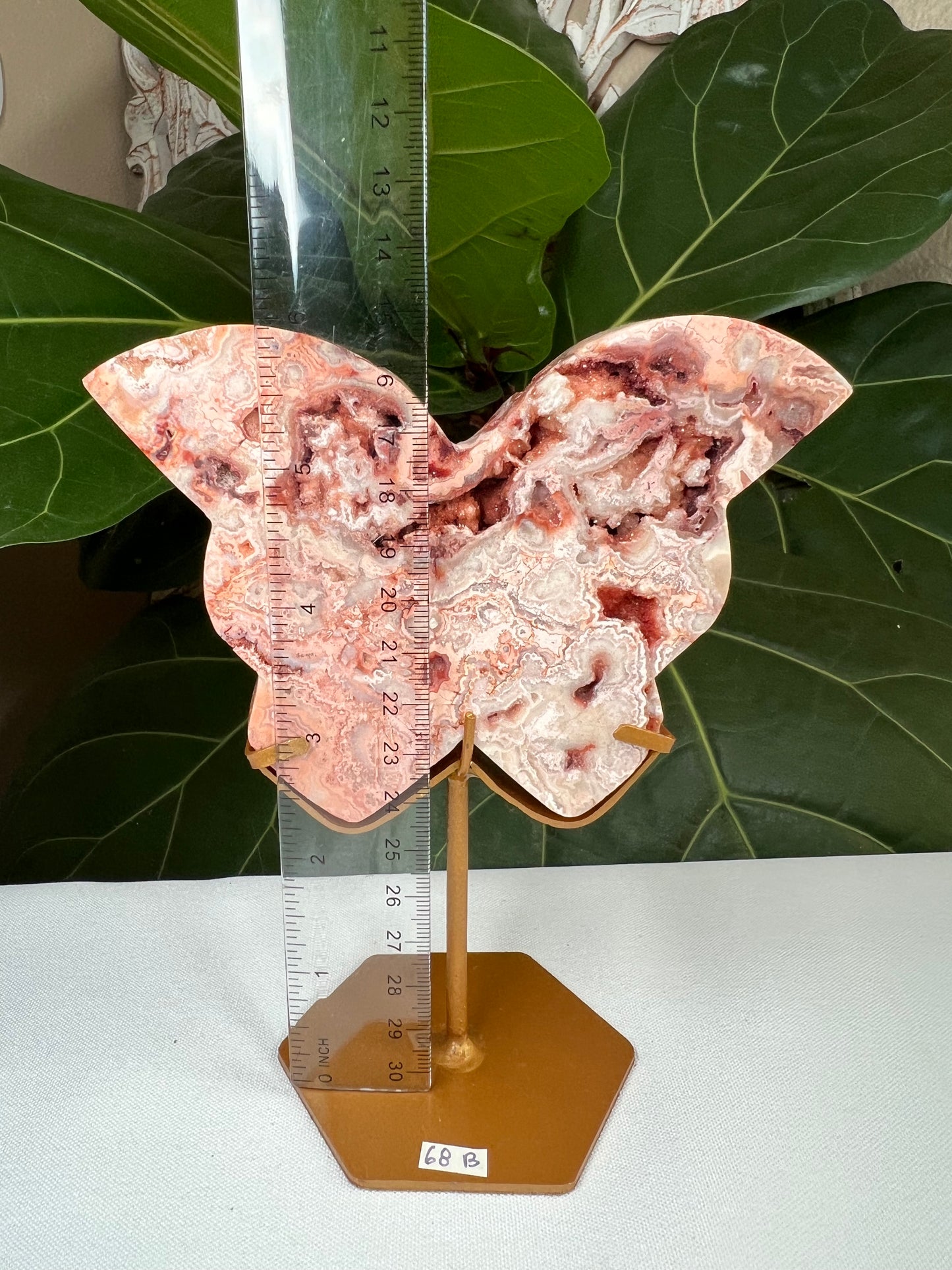 Crazy Lace Agate Butterfly