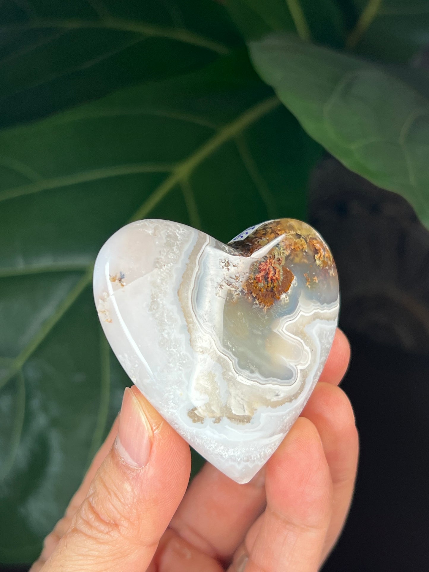 Scenic Moss Agate Heart