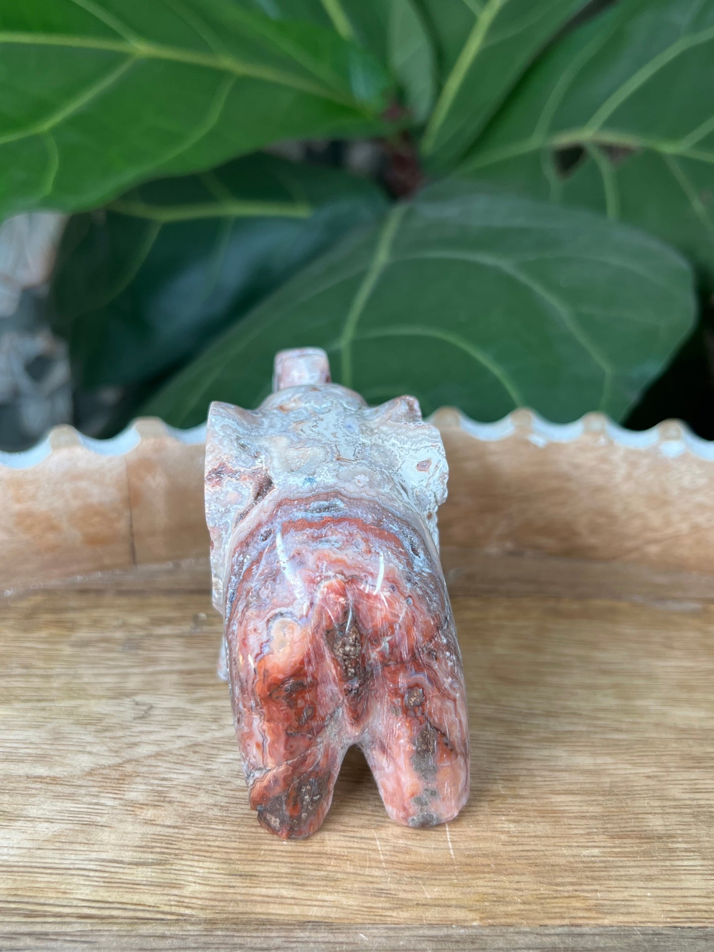 Crazy Lace Agate Elephant