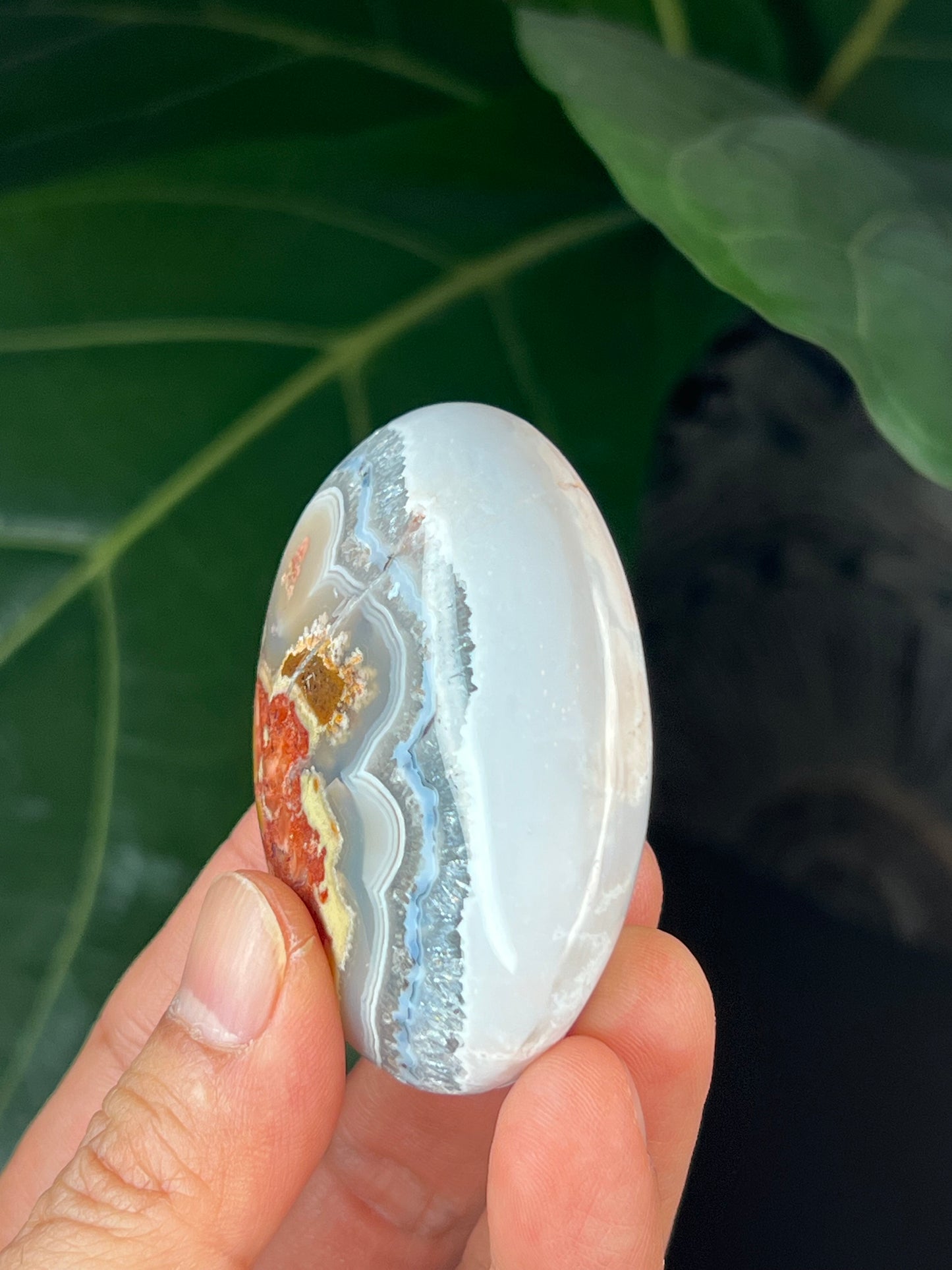 Scenic Moss Agate Palmstone