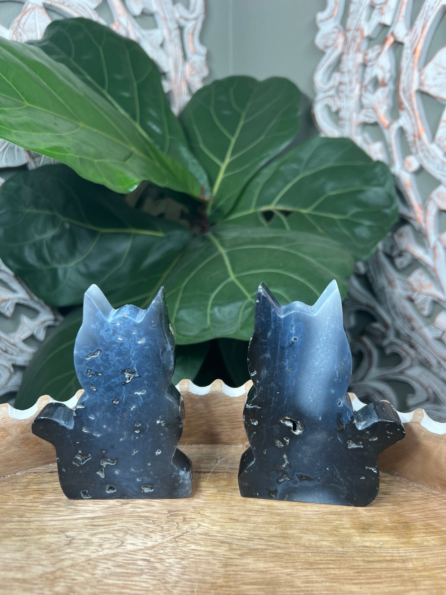 Blue Plume Agate Cat