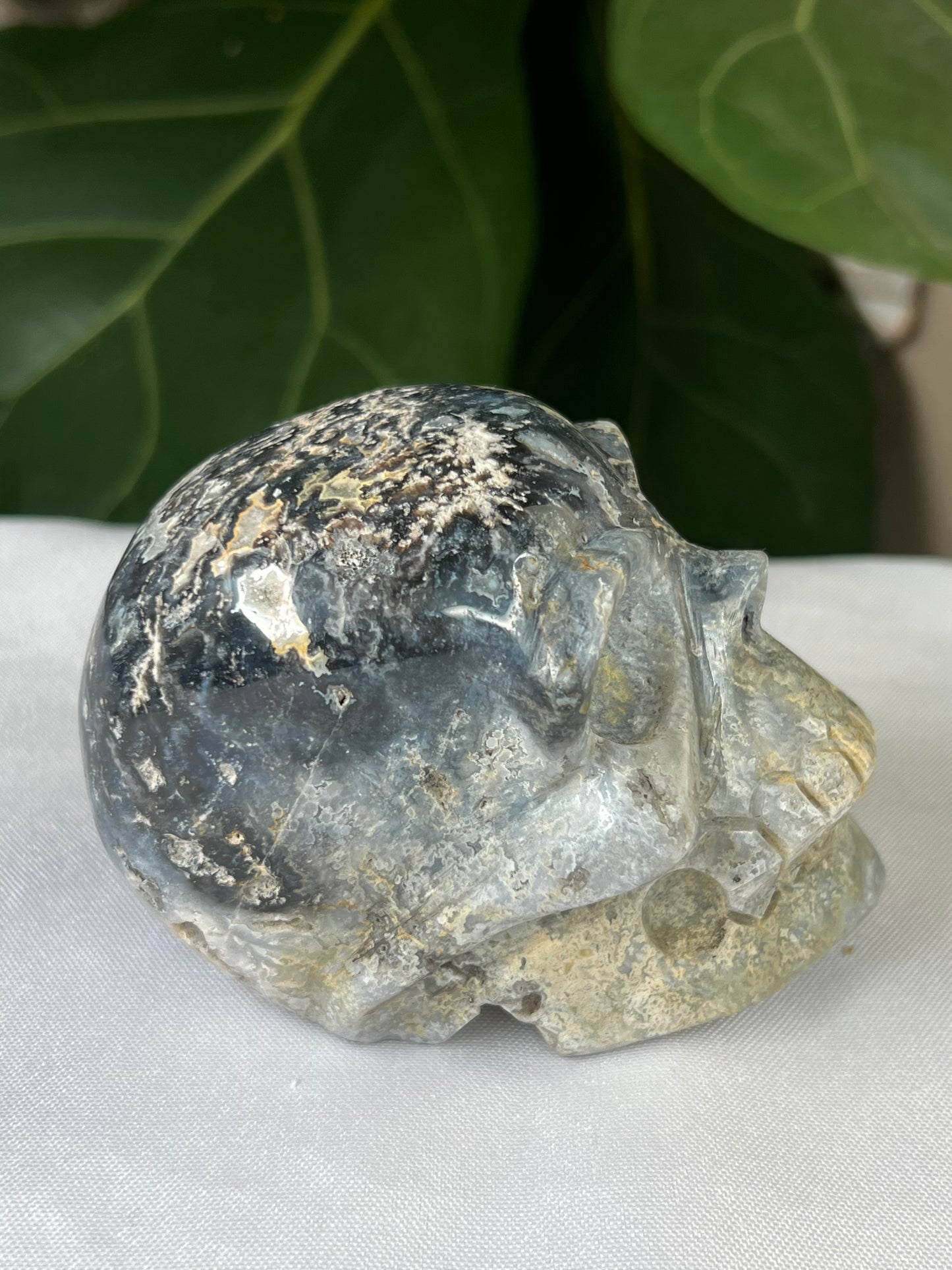 Blue Plume Agate Skull