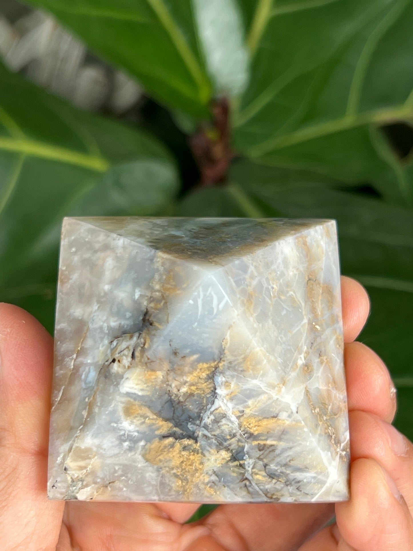 Dendritic Tiger Plume Agate Pyramid