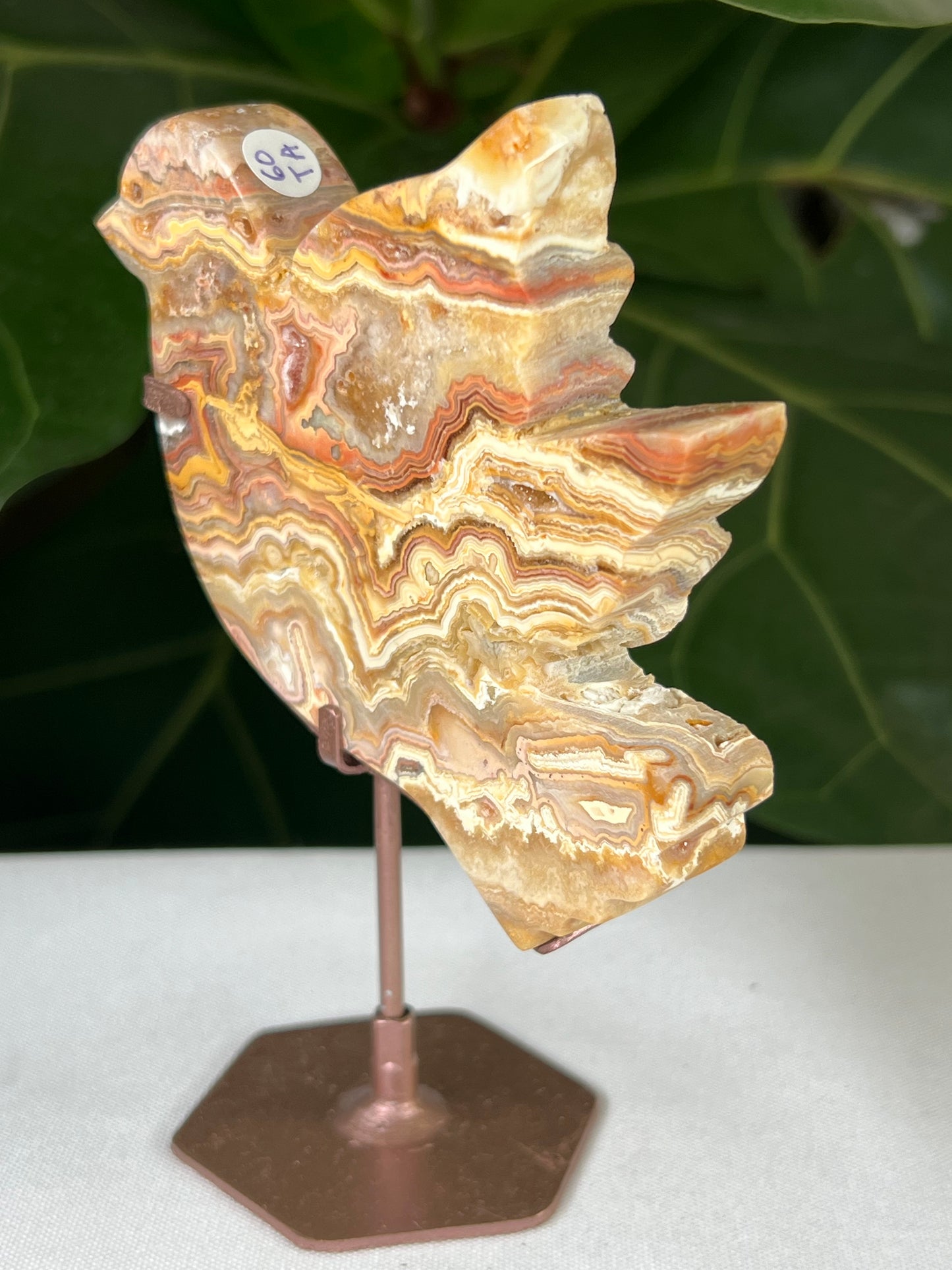 Crazy Lace Agate Bird