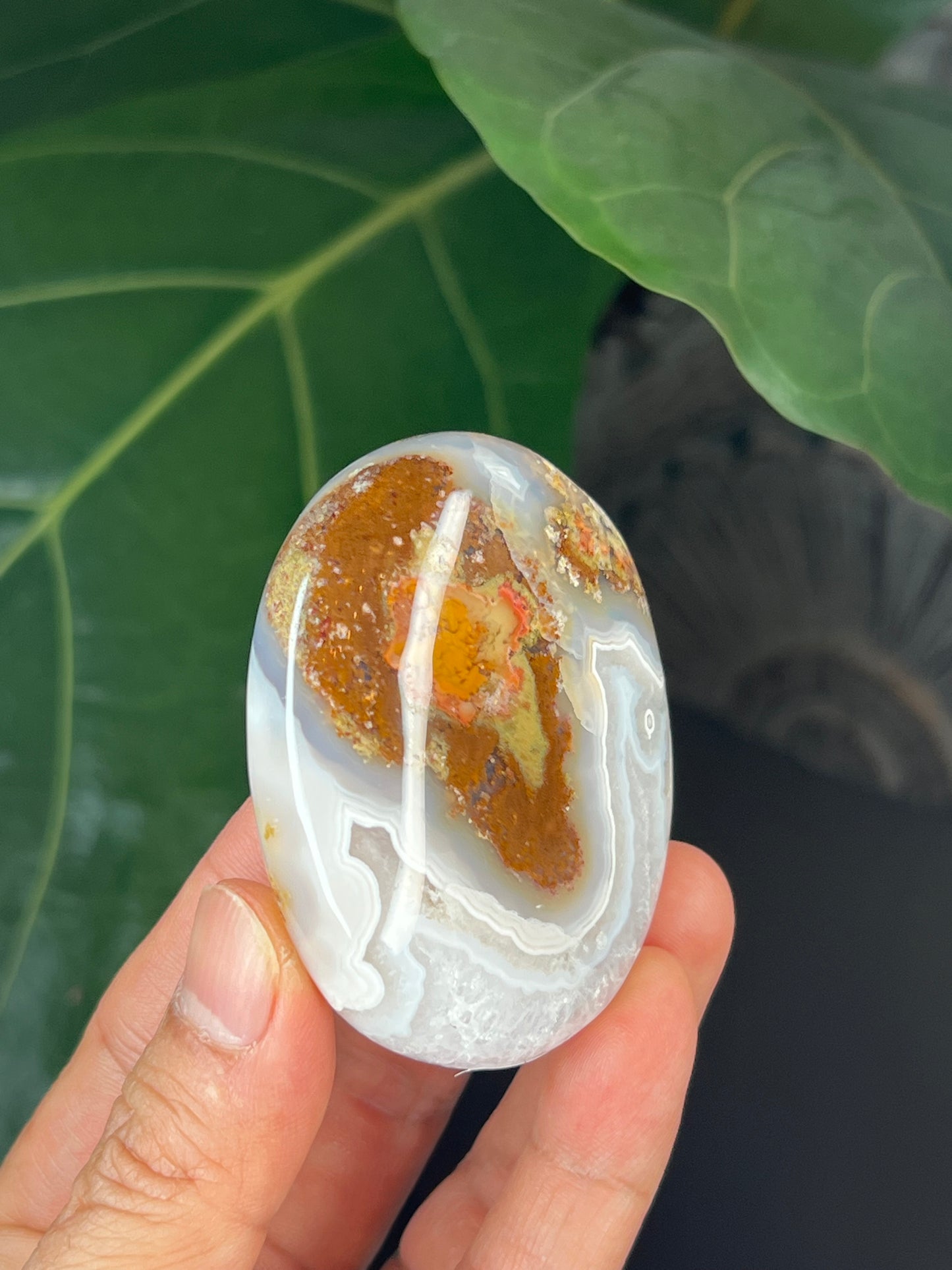 Scenic Moss Agate Palmstone