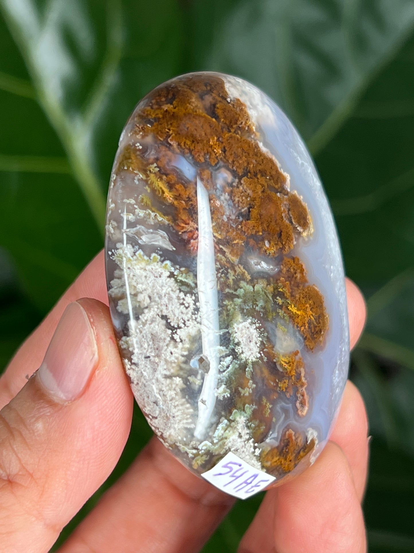 Scenic Moss Agate Palmstone