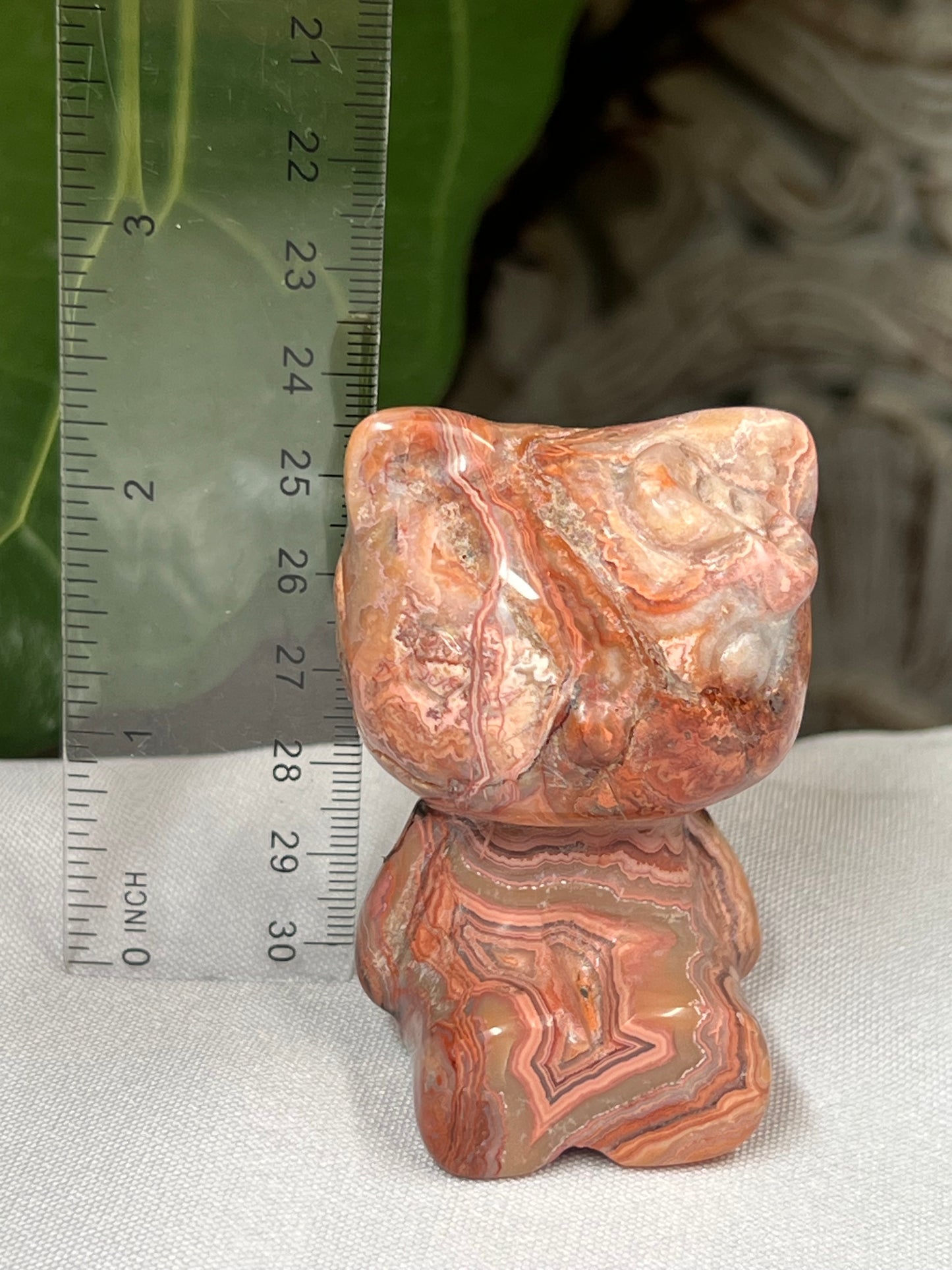 Crazy Lace Agate Cat