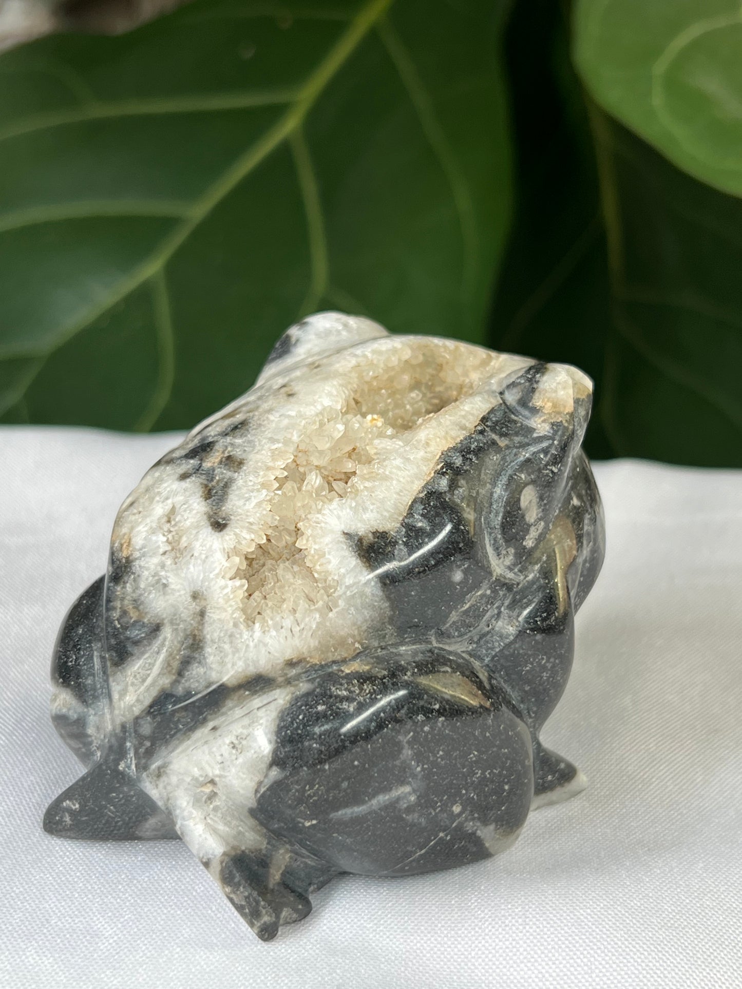 Sphalerite Frog