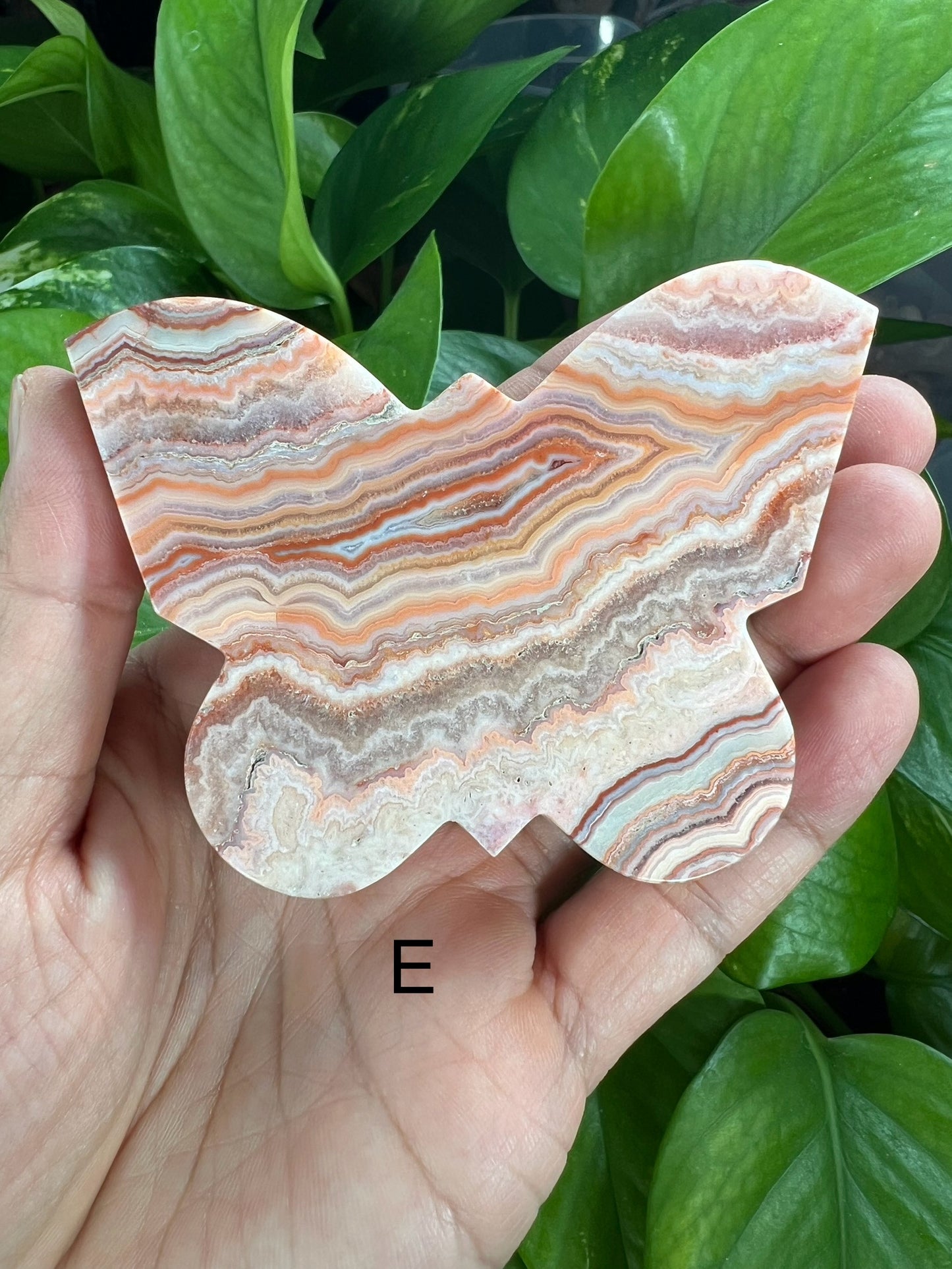 Crazy Lace Agate Butterfly