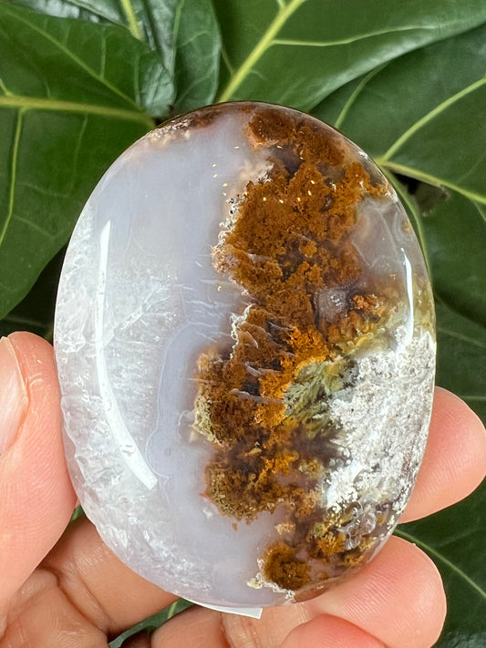 Scenic Moss Agate Palm Stone