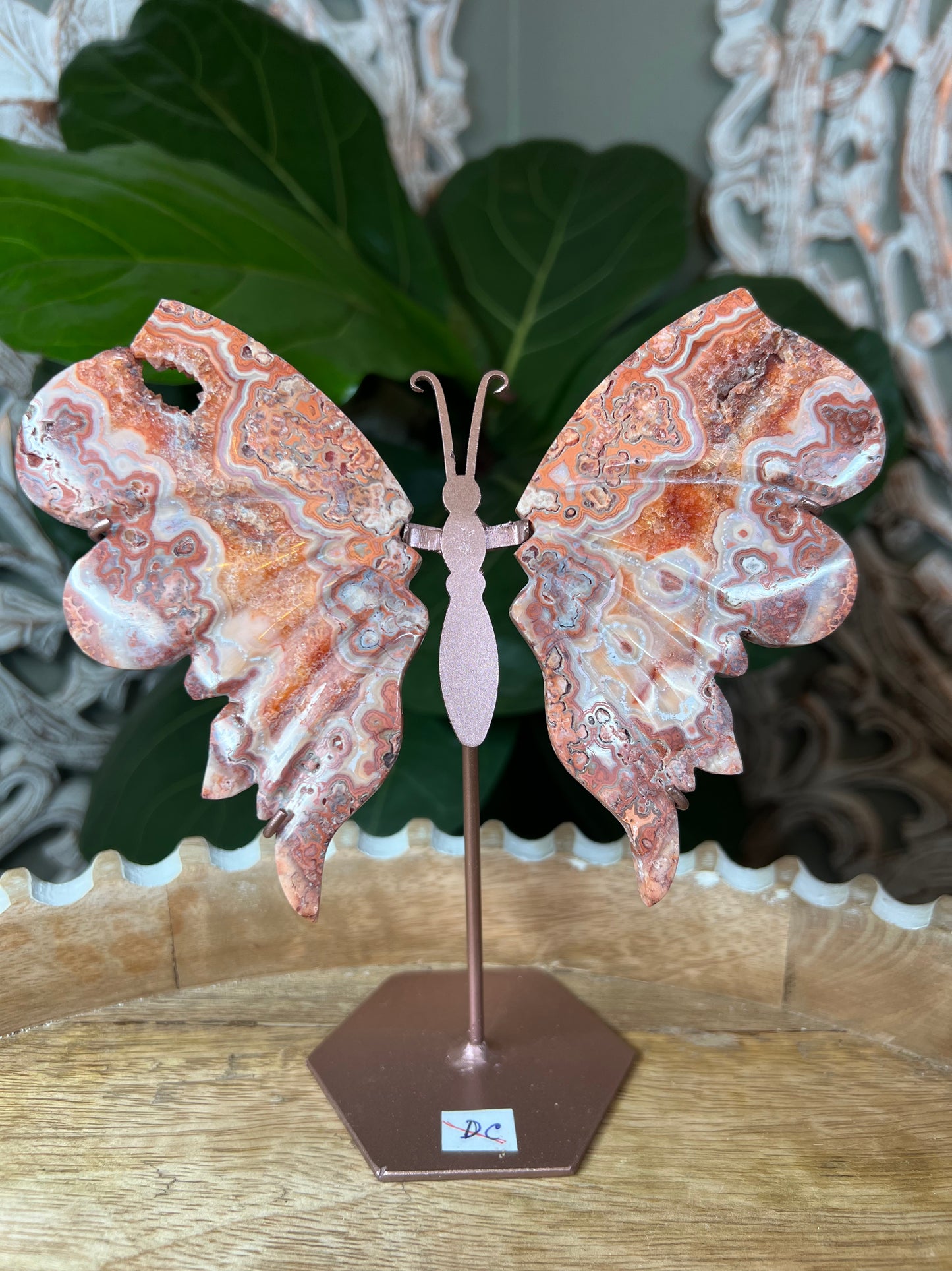 Crazy Lace Agate Wings