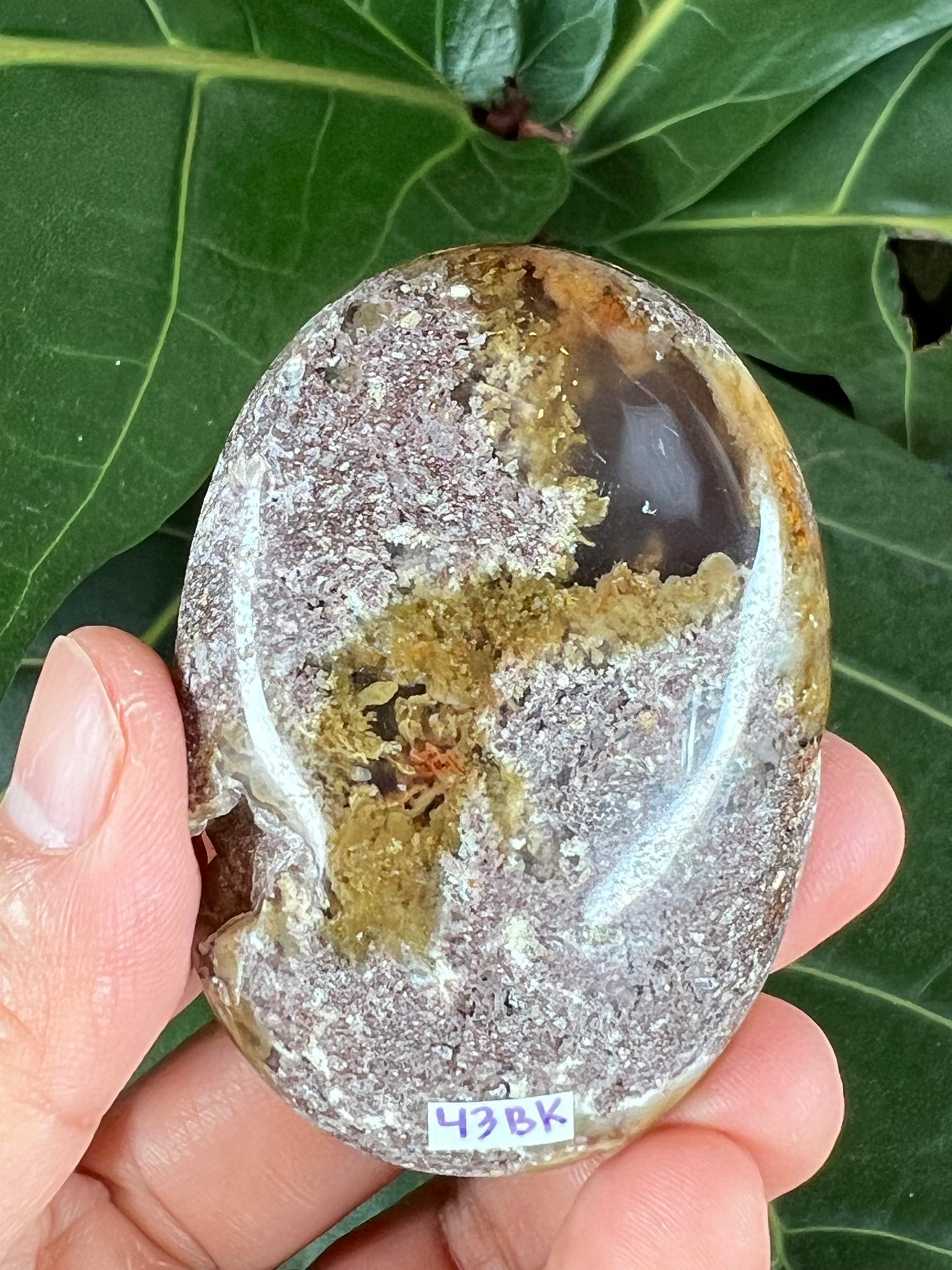 Scenic Moss Agate Palm Stone