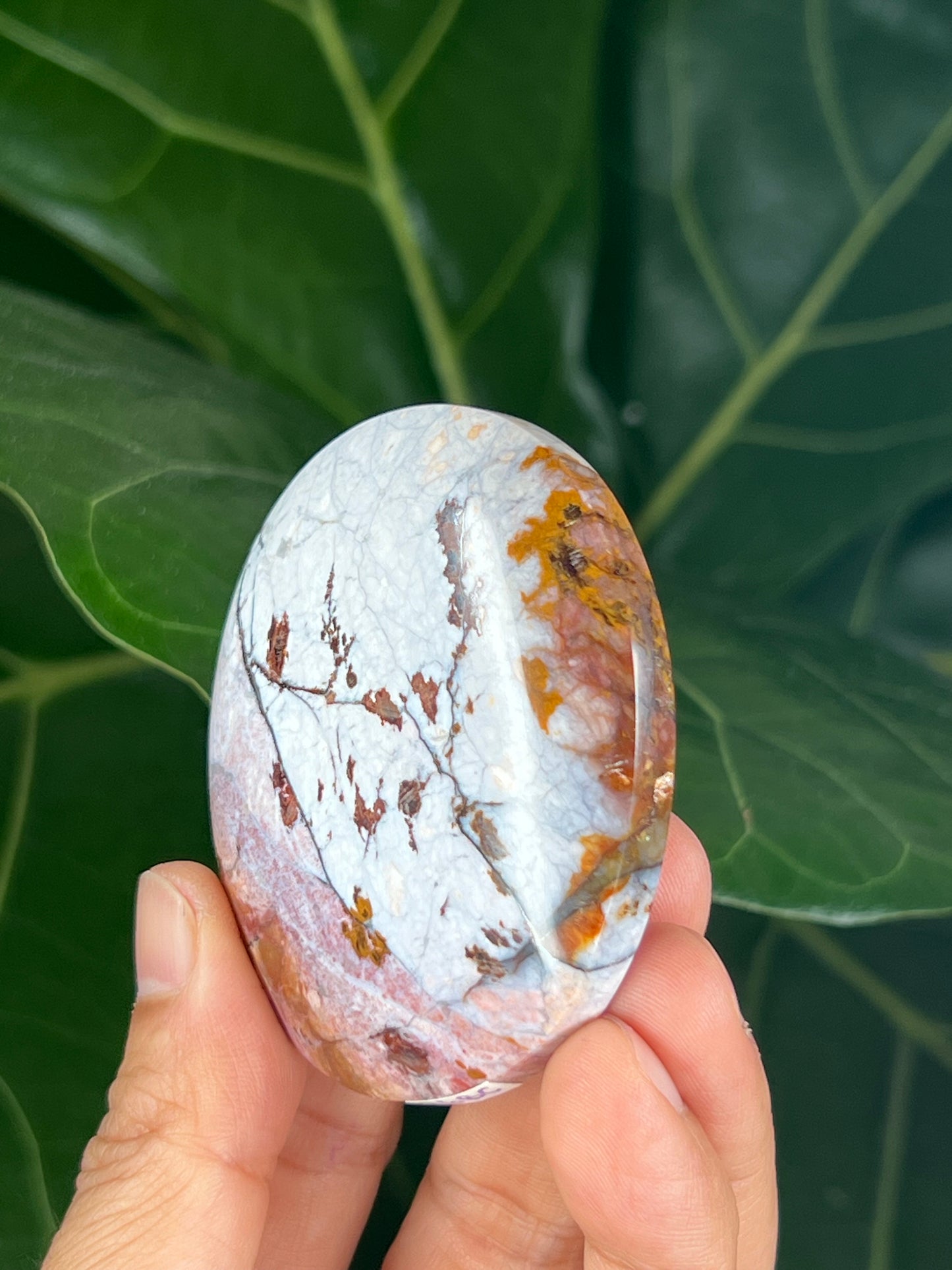 River Jasper Palmstone