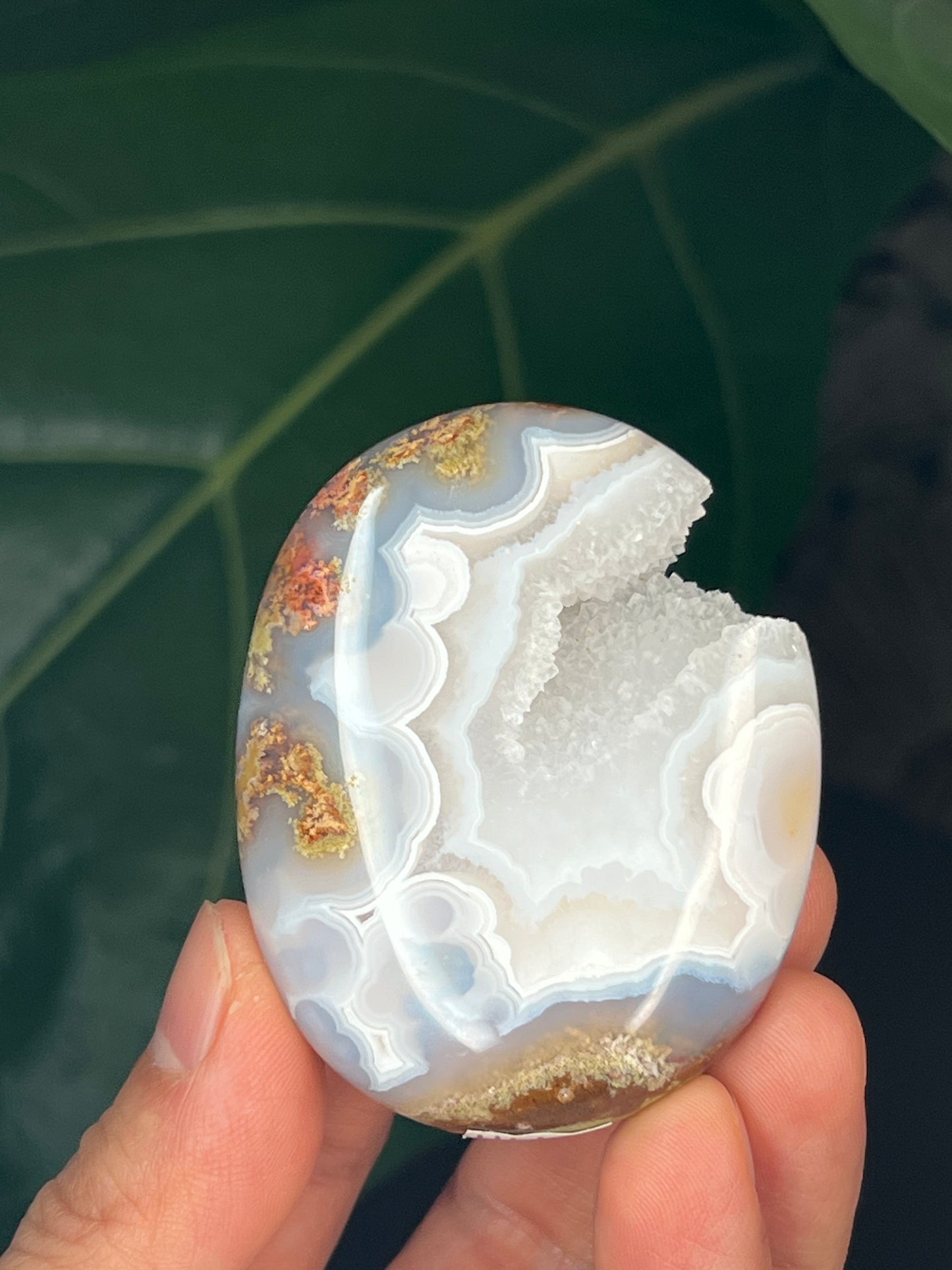 Scenic Moss Agate Palmstone