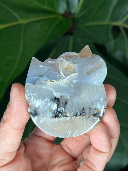 Tiger Dendritic Agate Cat