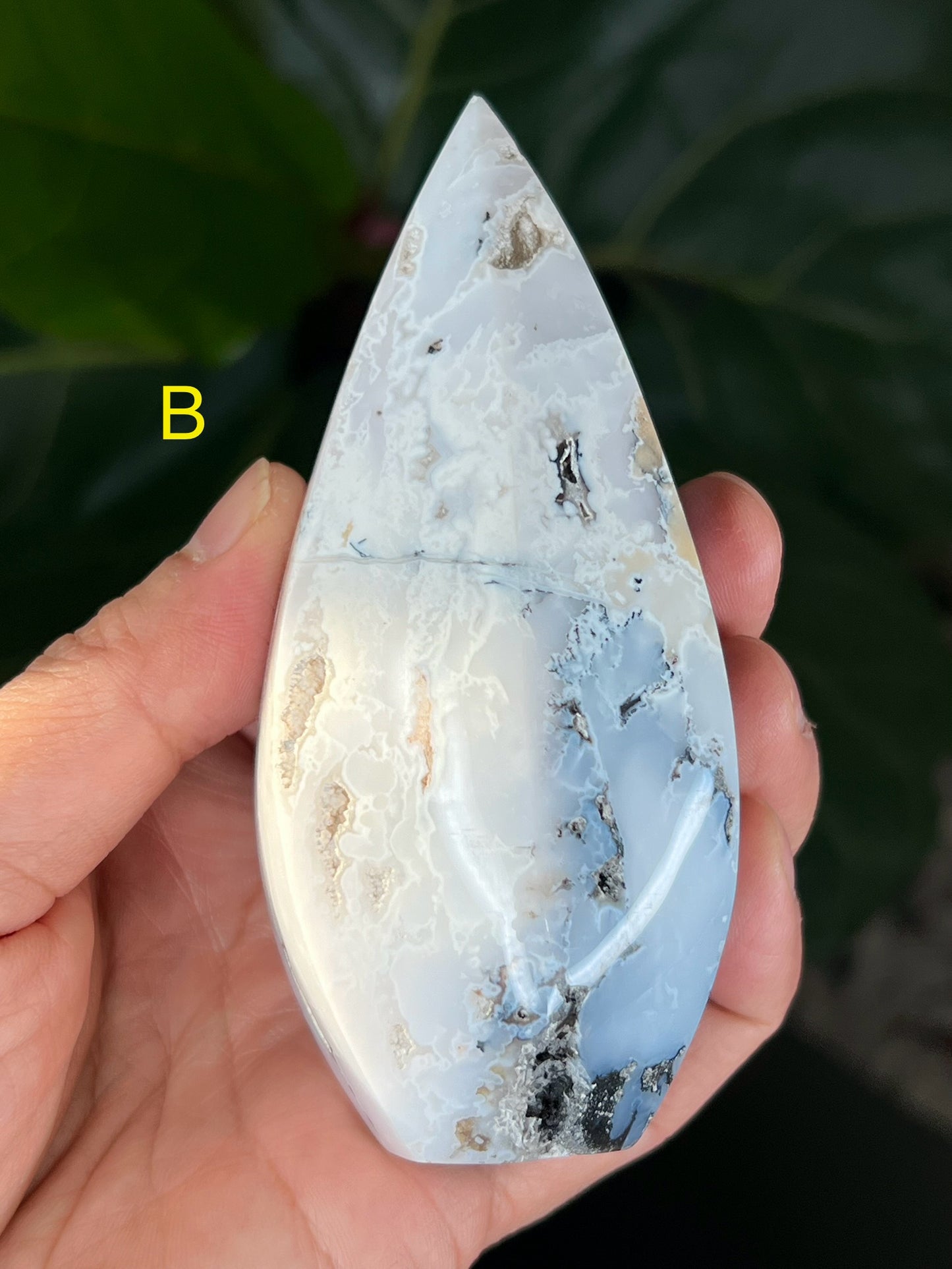 Dendritic Agate Bullet