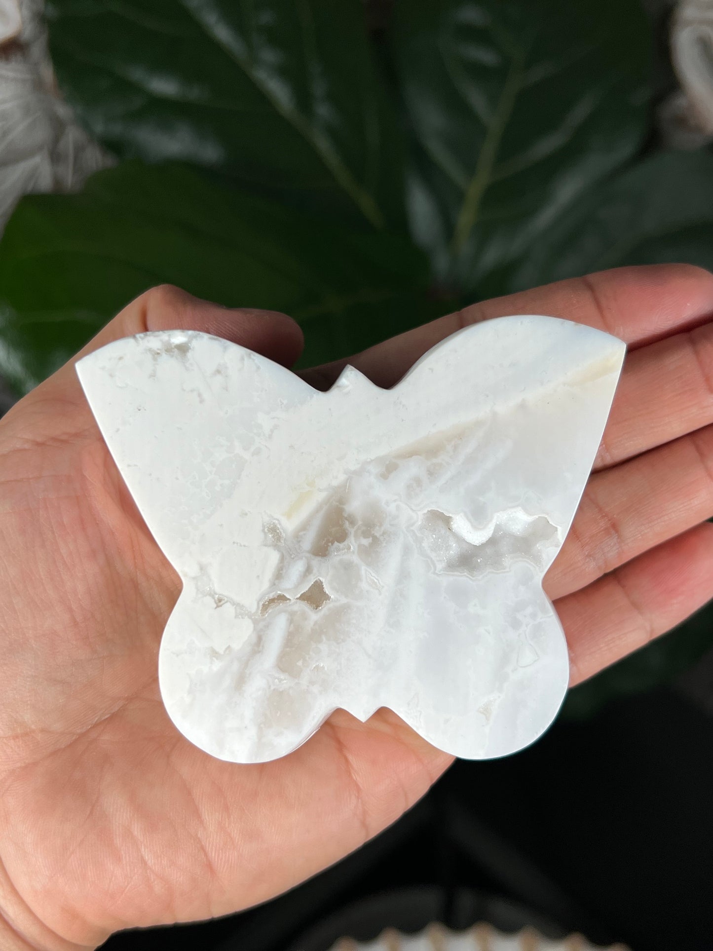 White Plume Agate Butterfly