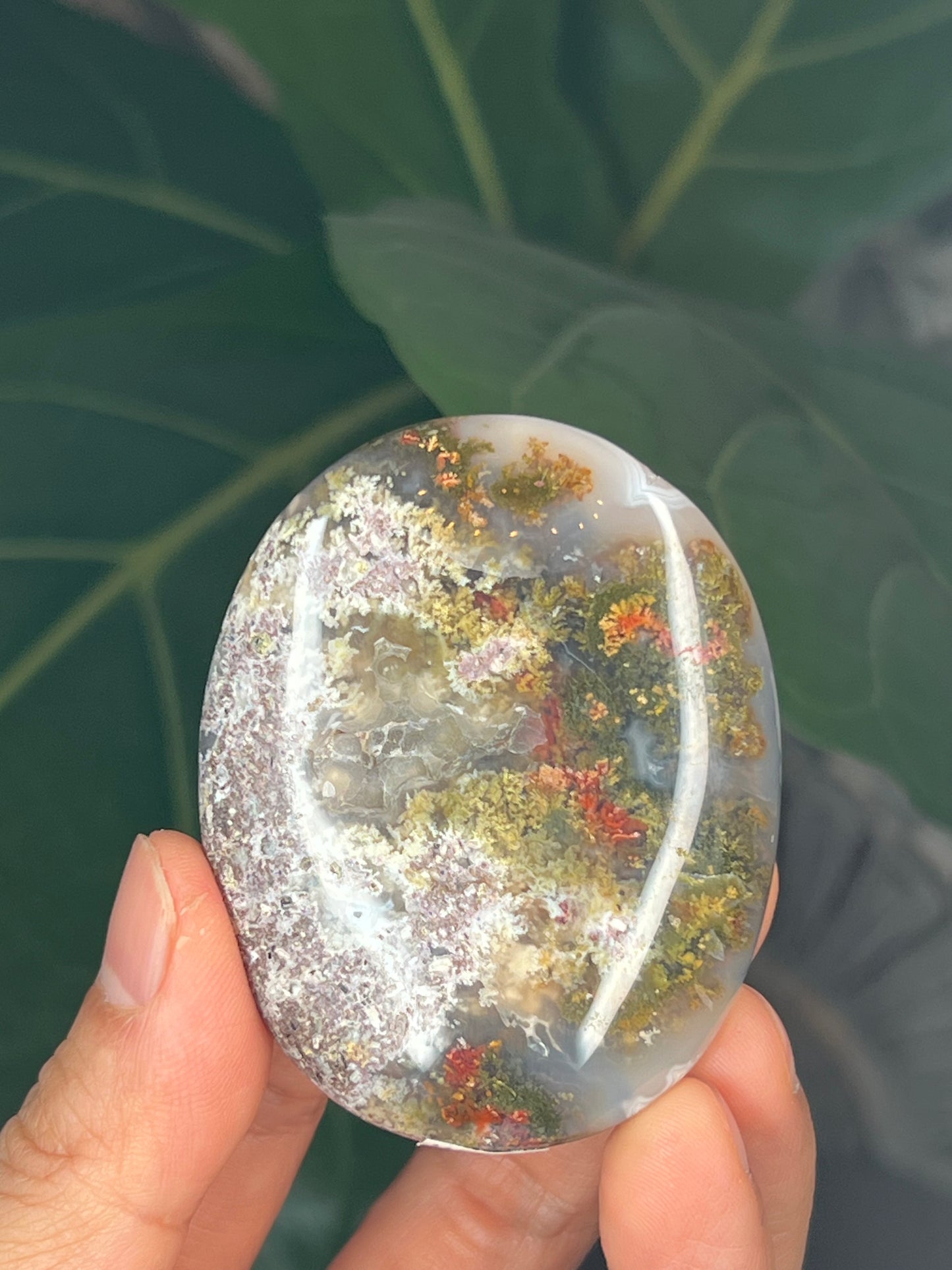 Scenic Moss Agate Palmstone