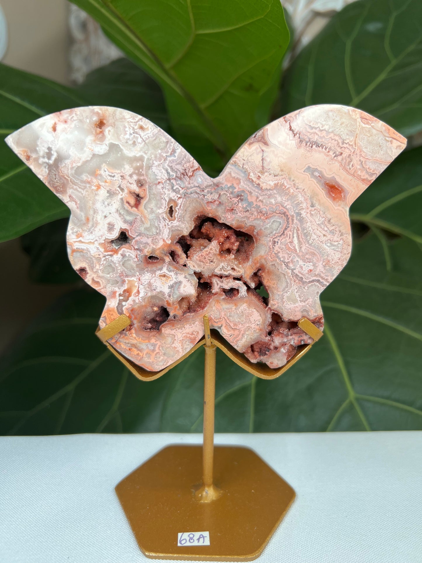 Crazy Lace Agate Butterfly