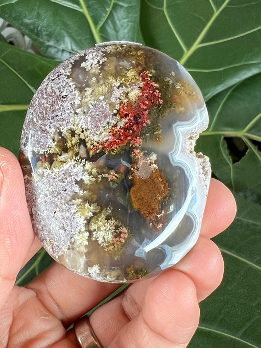 Scenic Moss Agate Palm Stone