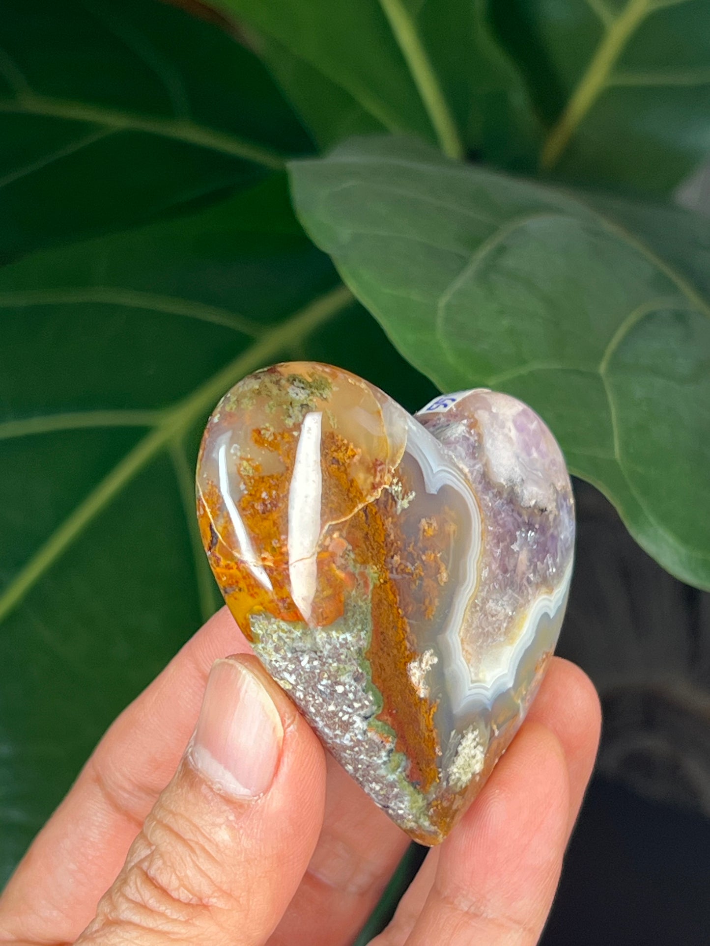 Scenic Moss Agate Heart