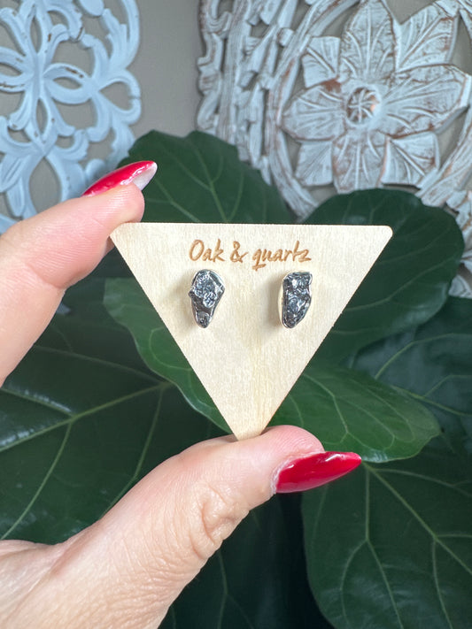 Colombian Campo Del Cielo Meteorite Stud Earrings ￼