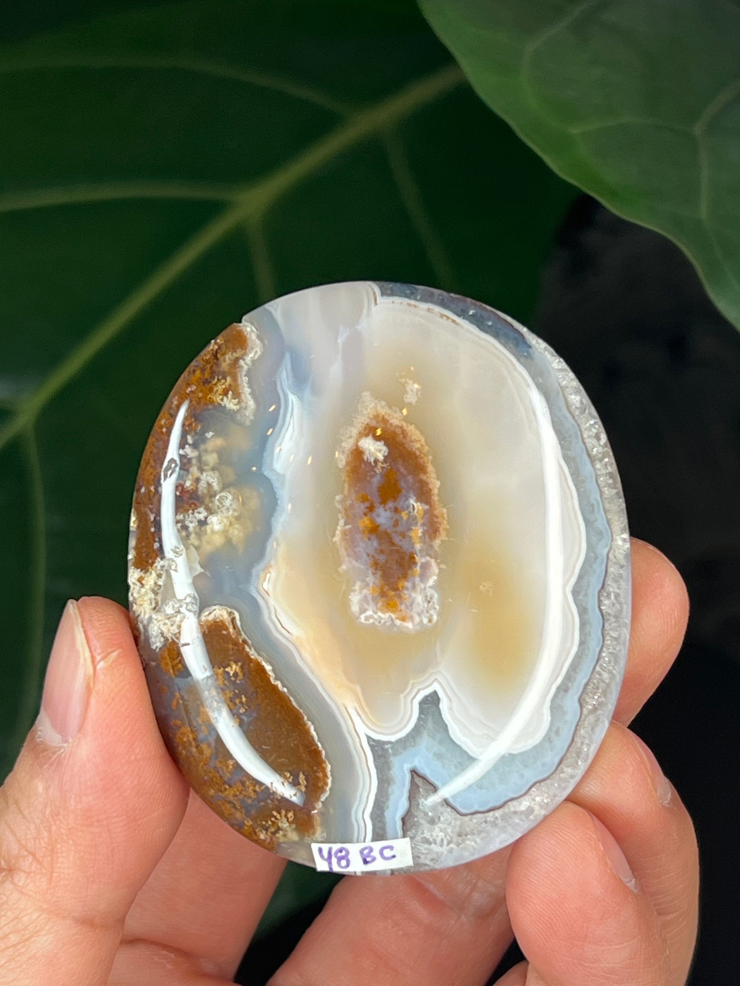 Scenic Moss Agate Palmstone