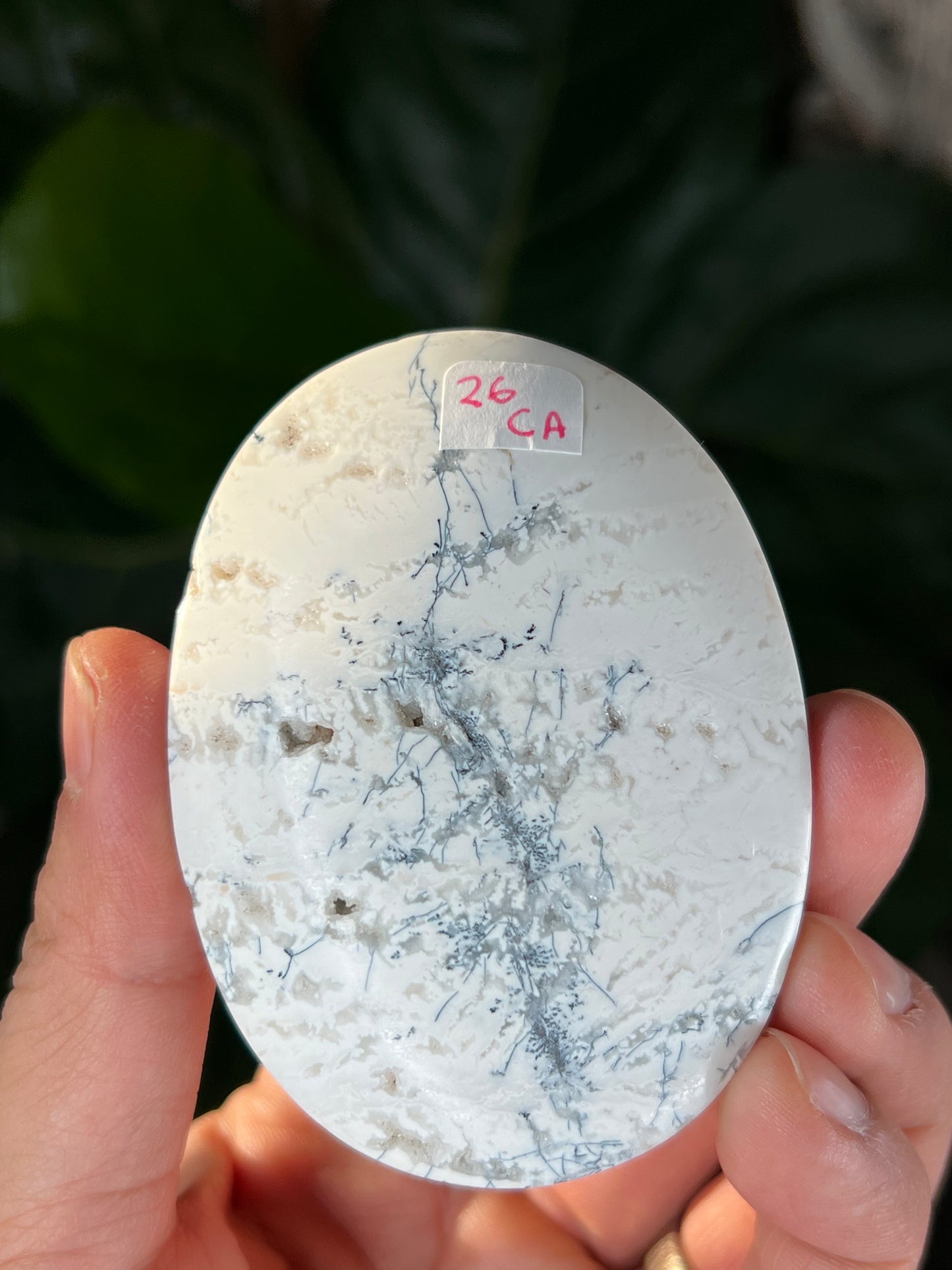 Dendritic Agate Palmstones