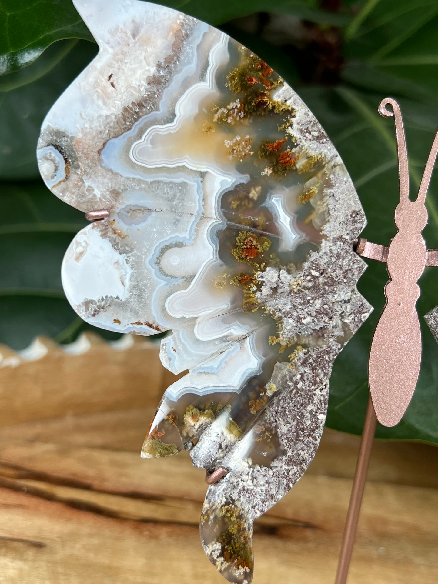 Scenic moss agate wings