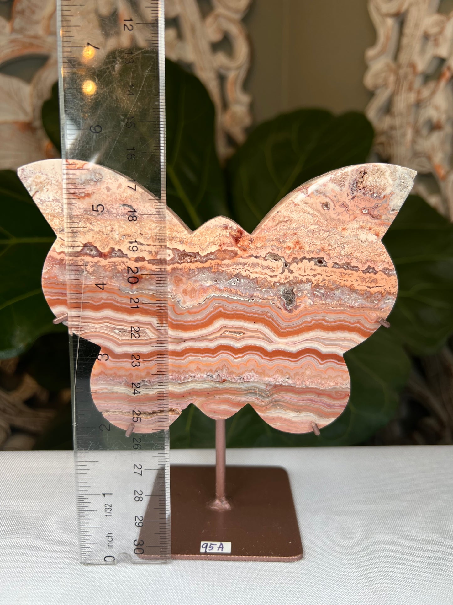 Crazy Lace Agate Butterfly