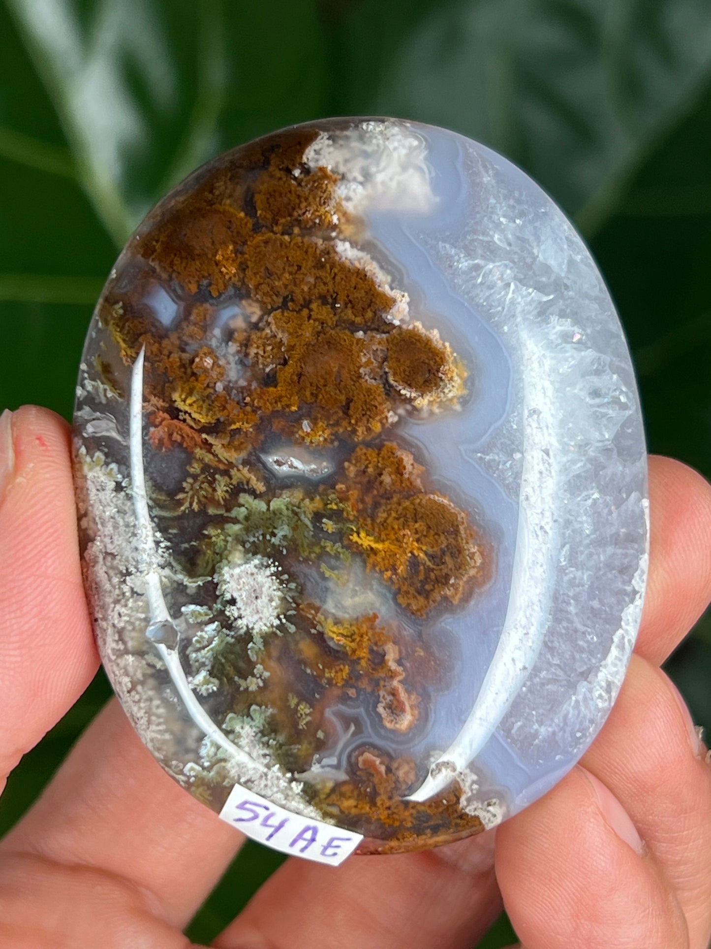 Scenic Moss Agate Palmstone