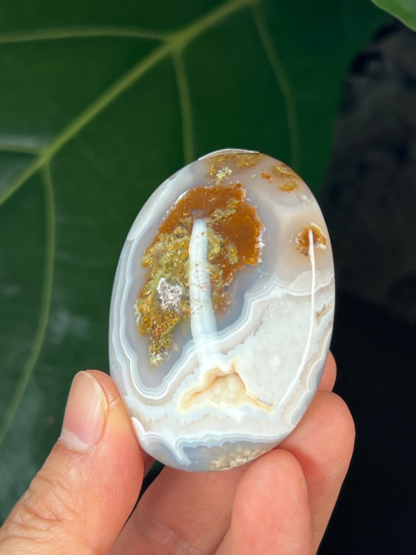 Scenic Moss Agate Palmstone