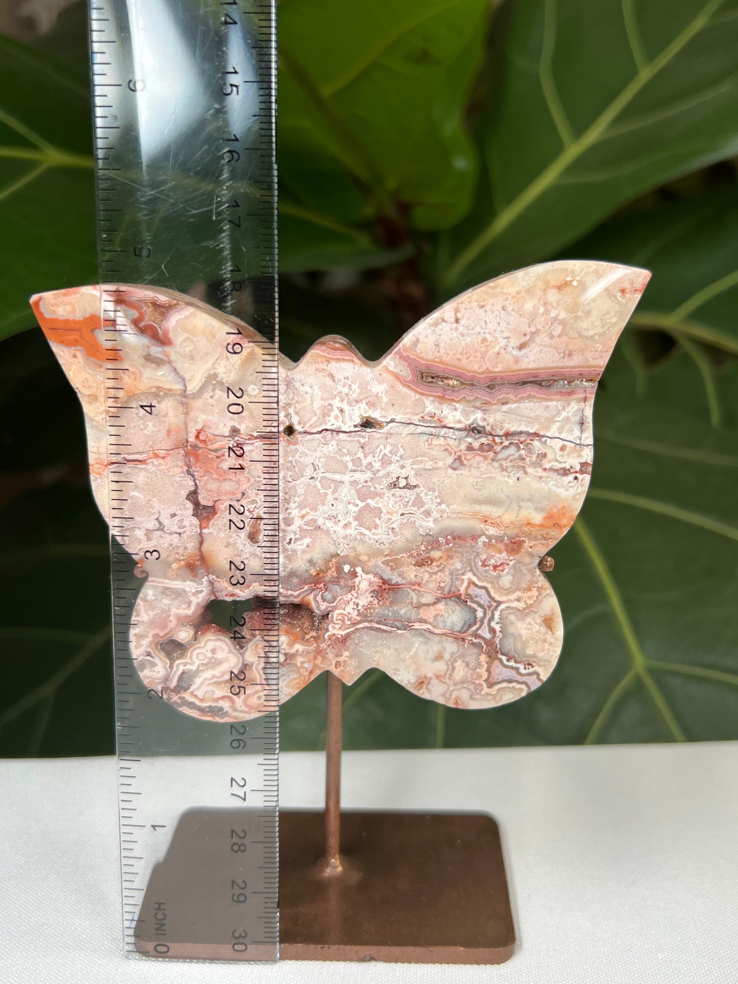 Crazy Lace Agate Butterfly