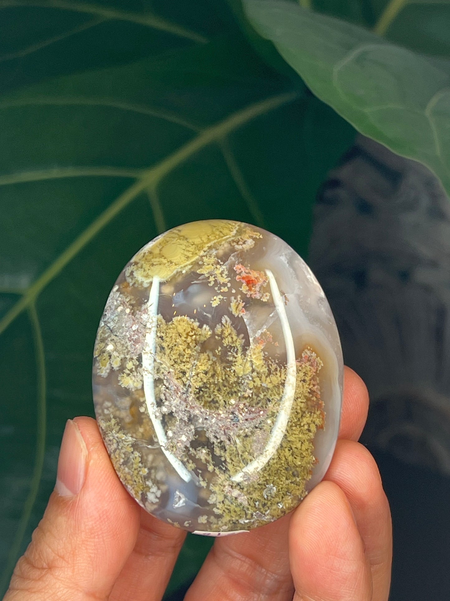 Scenic Moss Agate Palmstone