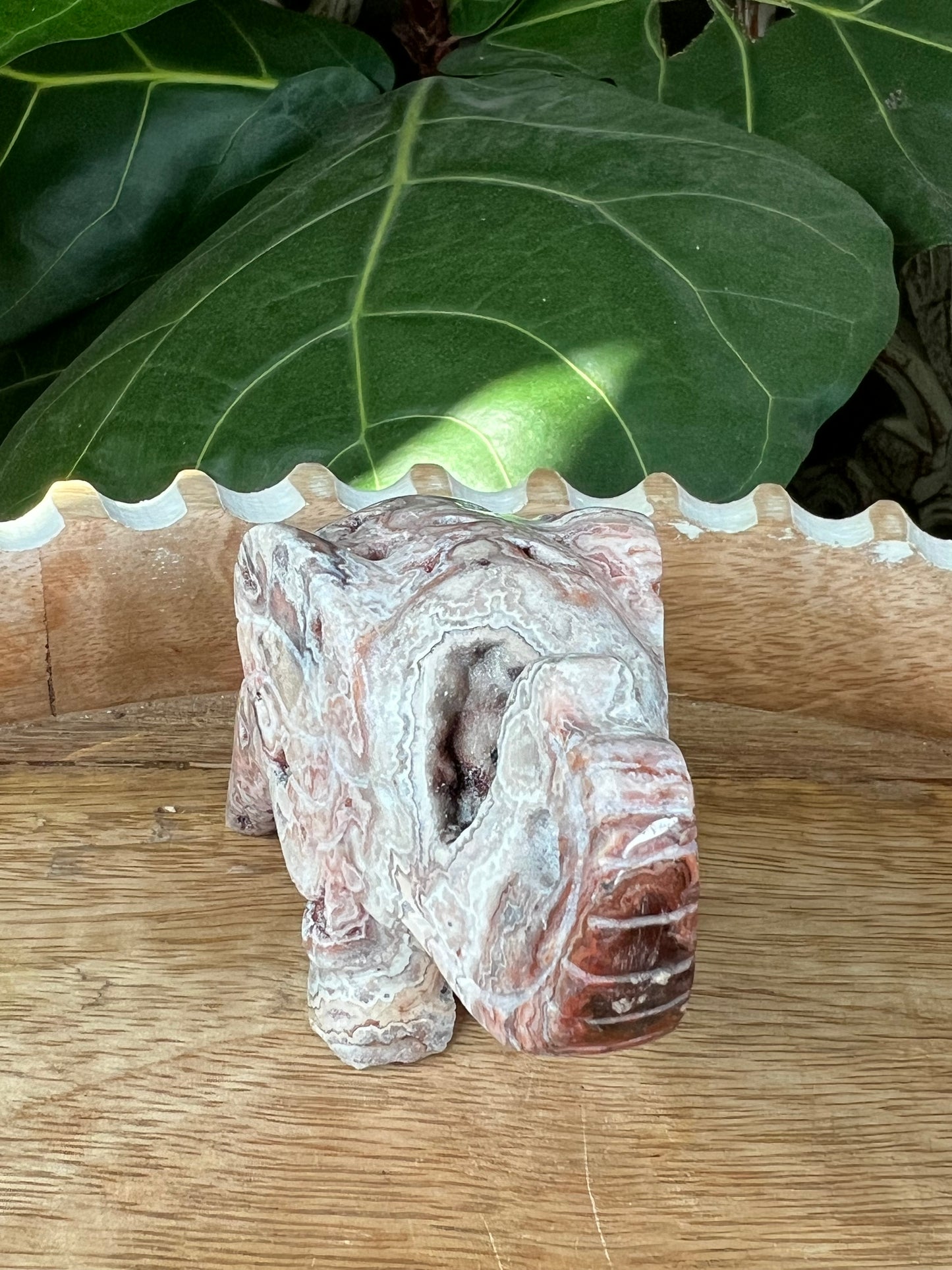 Crazy Lace Agate Elephant