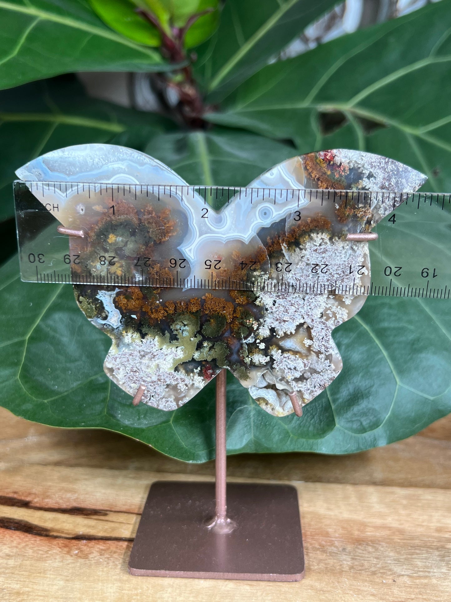 Scenic Moss Agate Butterfly