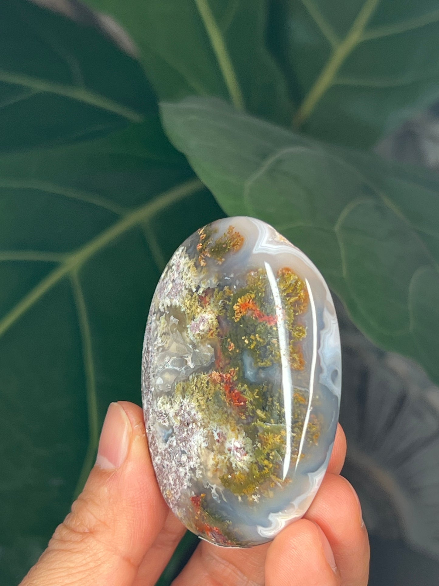 Scenic Moss Agate Palmstone