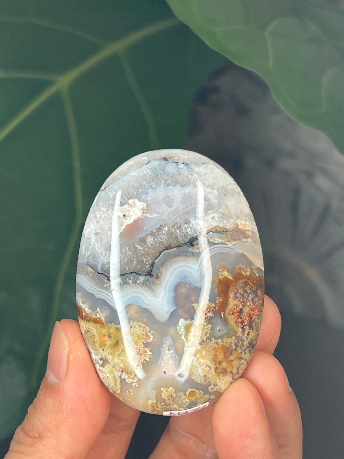 Scenic Moss Agate Palmstone