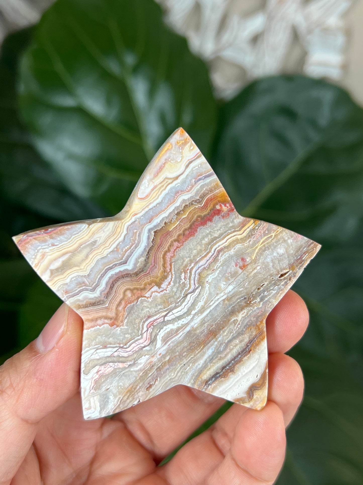 Crazy Lace Agate Star