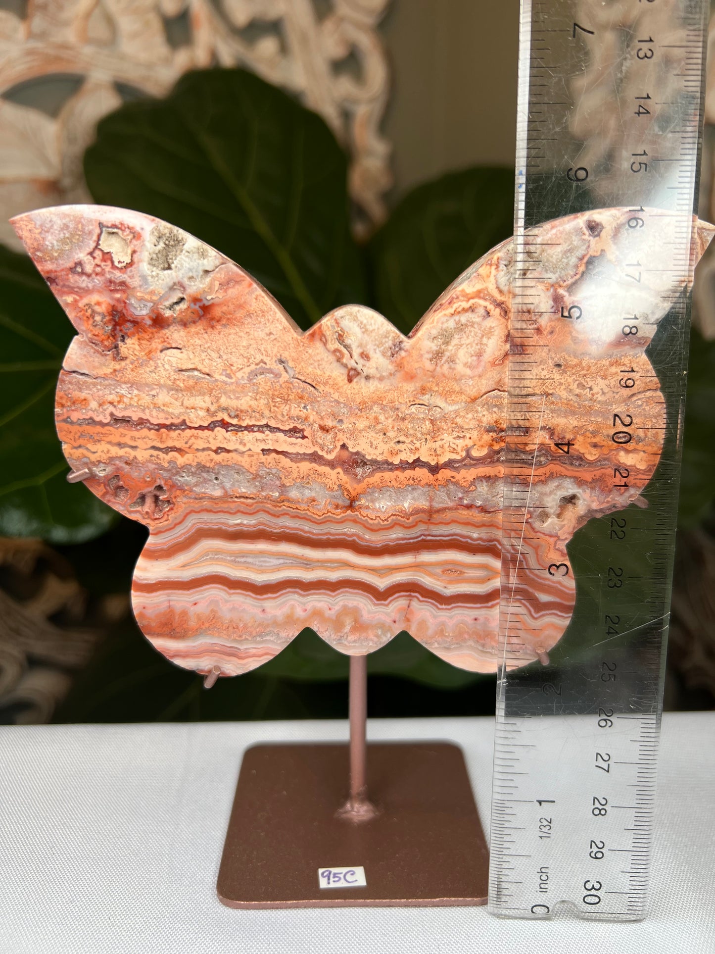 Crazy Lace Agate Butterfly