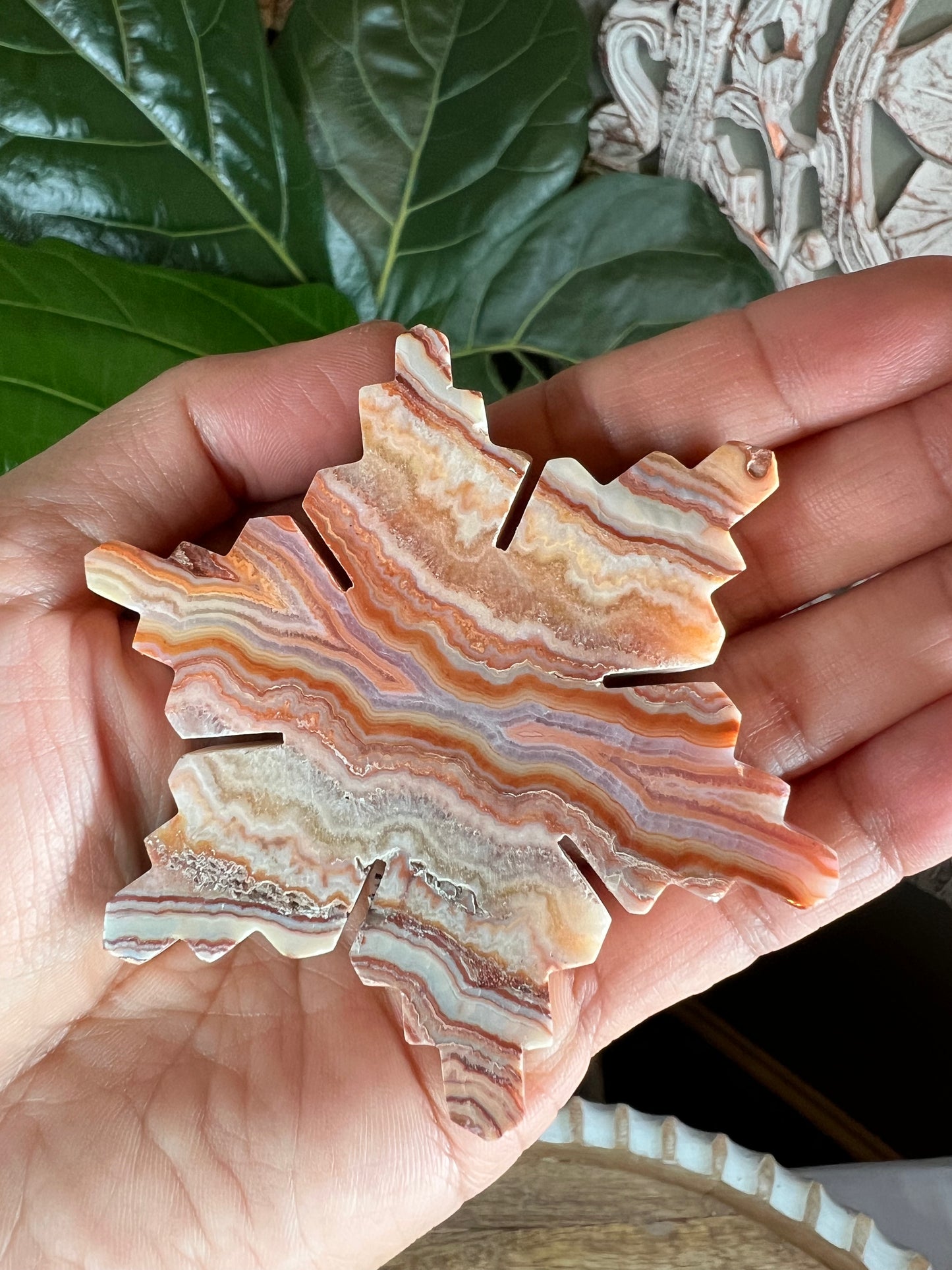 Crazy Lace Agate Snowflake