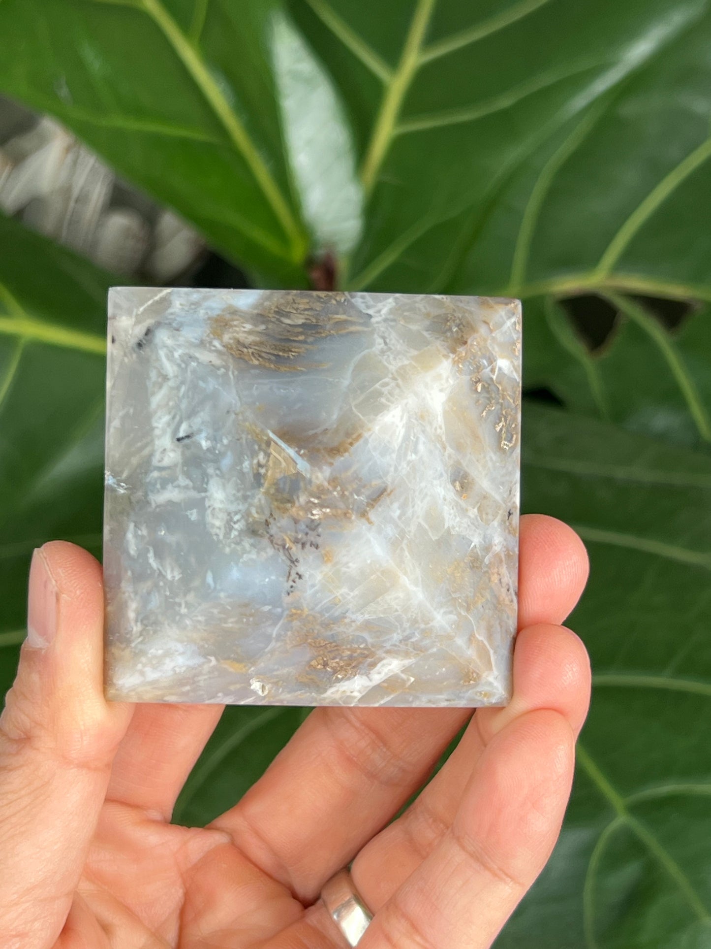 Dendritic Tiger Plume Agate Pyramid