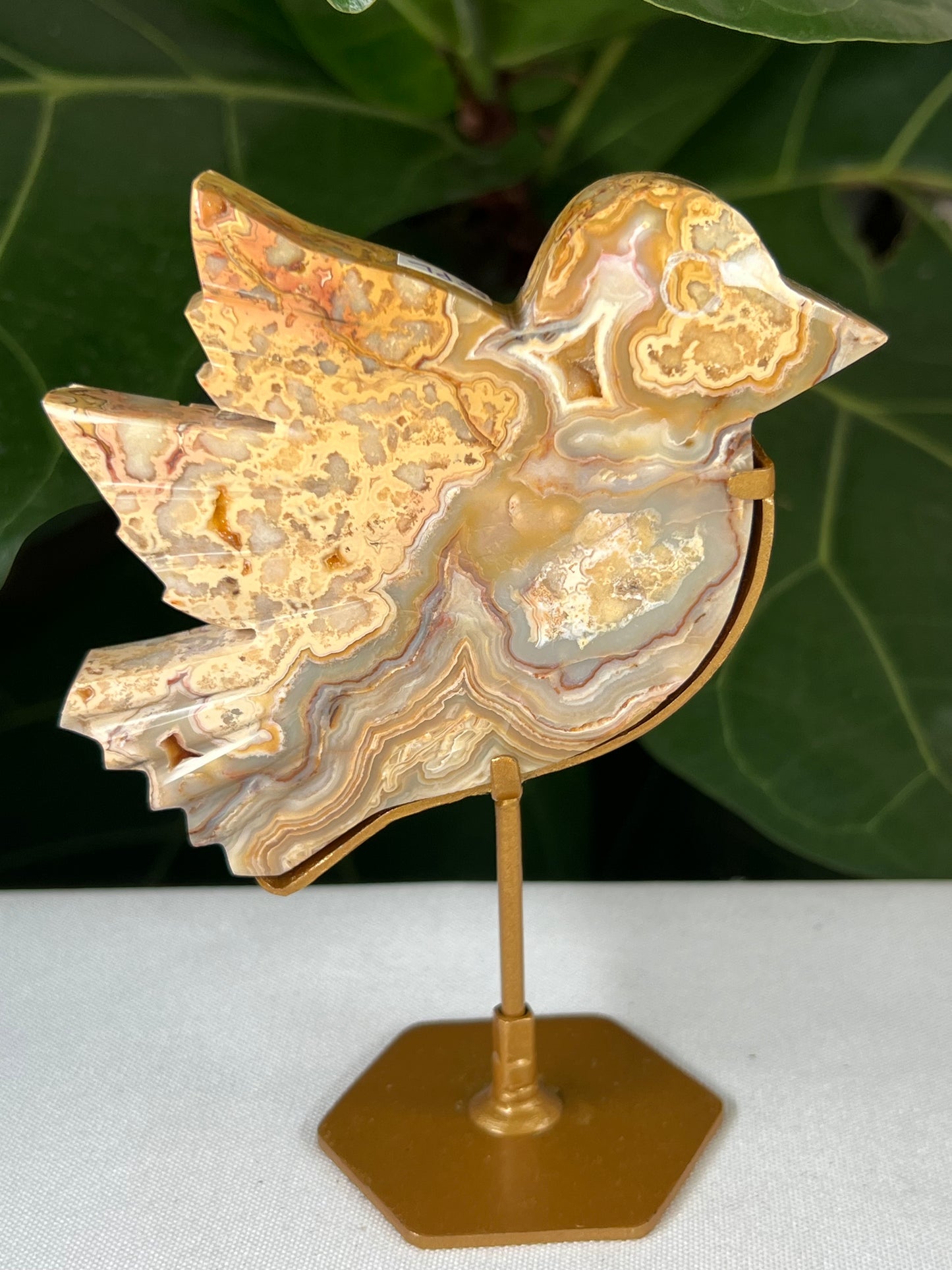 Crazy Lace Agate Bird