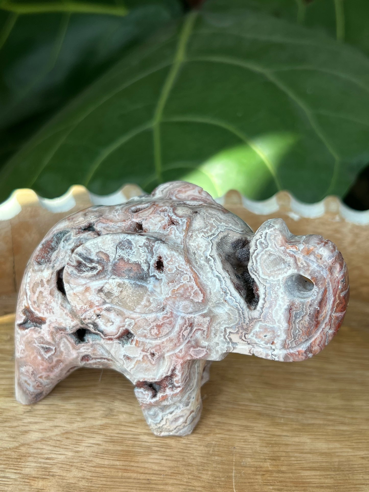 Crazy Lace Agate Elephant