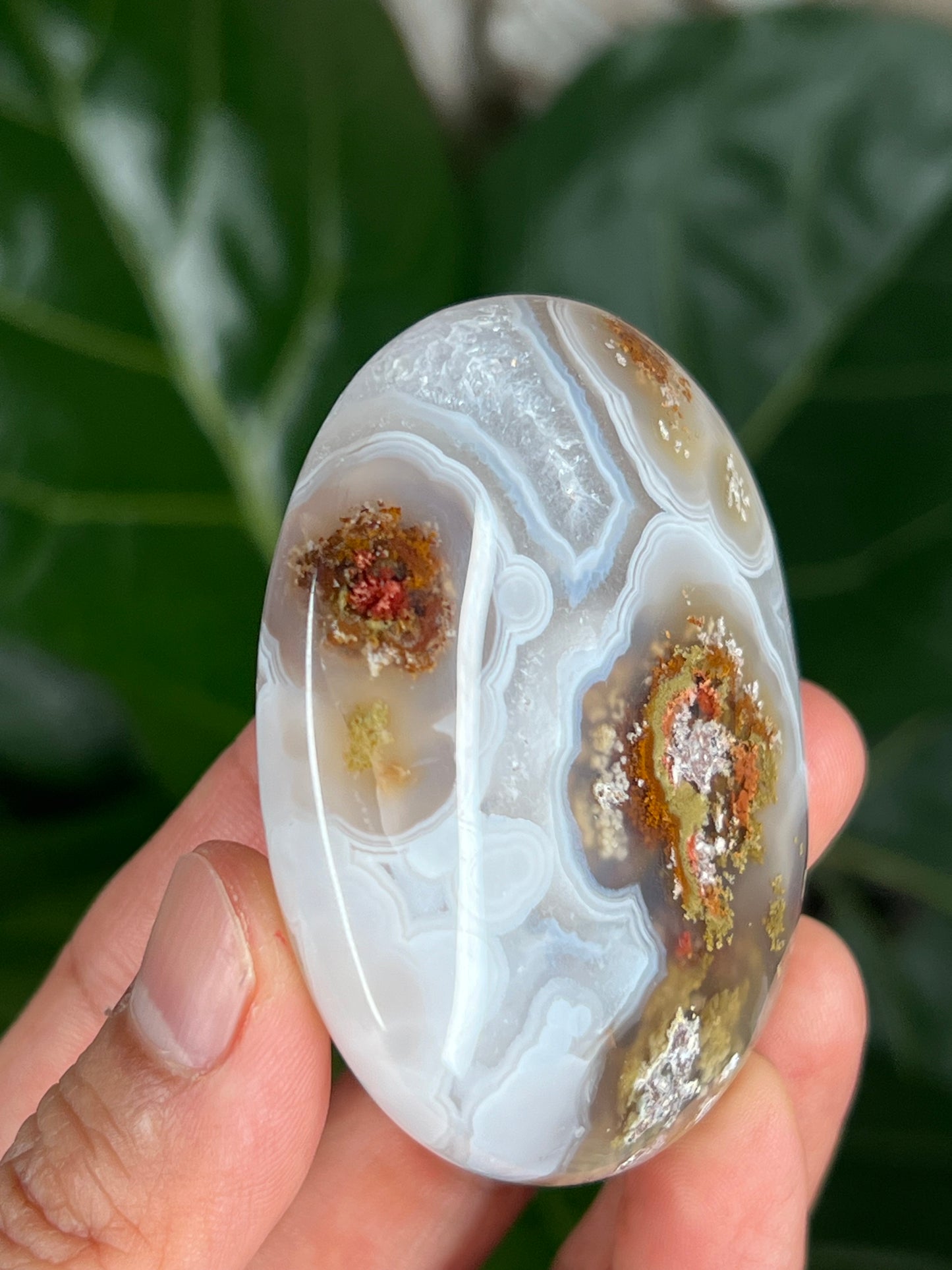 Scenic Moss Agate Palmstone